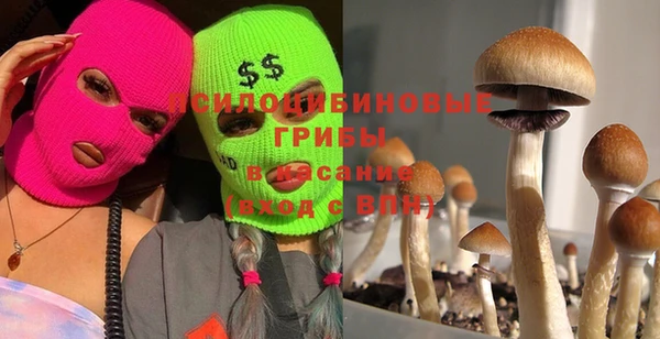 гидра Няндома