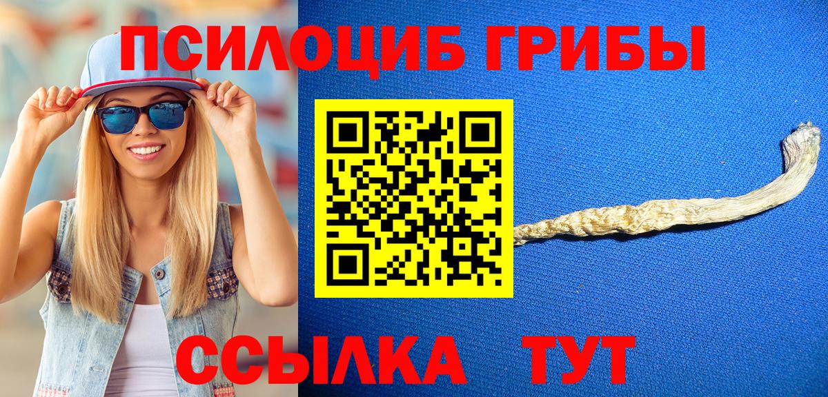 Армавир  Псилоцибиновые грибы мицелий  где купить наркоту  Вход с VPN 